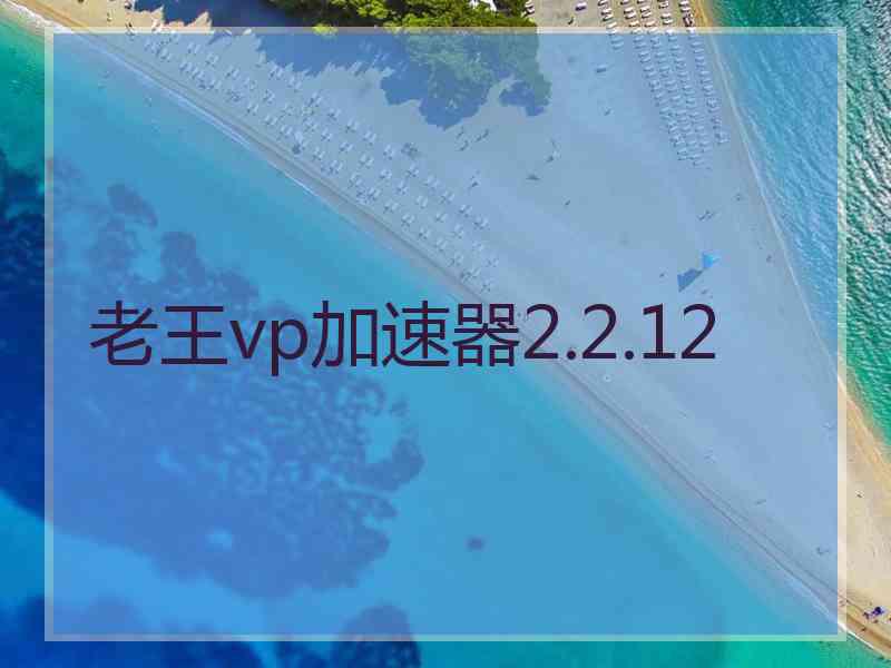老王vp加速器2.2.12