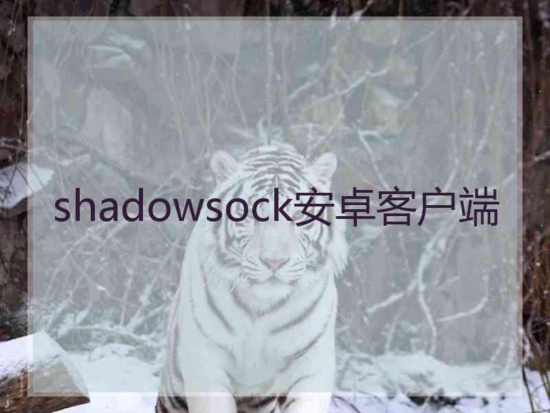 shadowsock安卓客户端