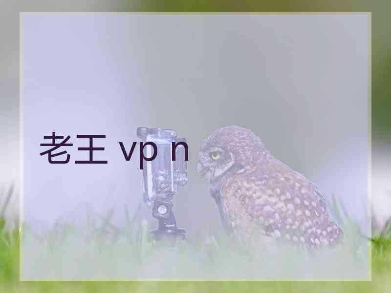 老王 vp n