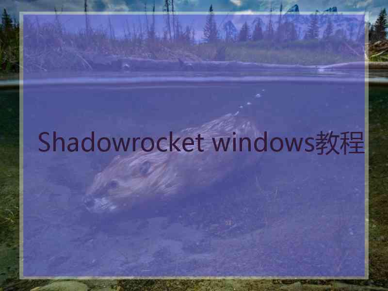 Shadowrocket windows教程